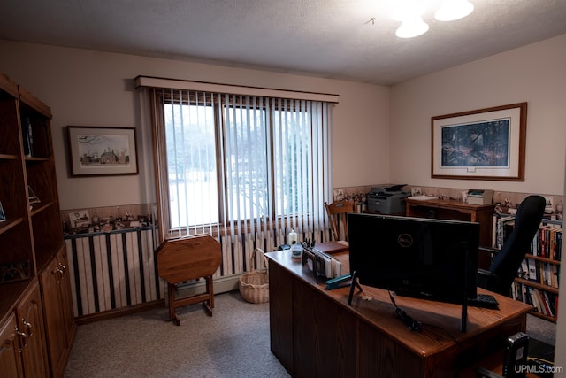 office space featuring a textured ceiling and light colored carpet