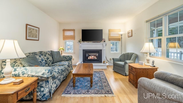 living room featuring light hardwood / wood-style floors