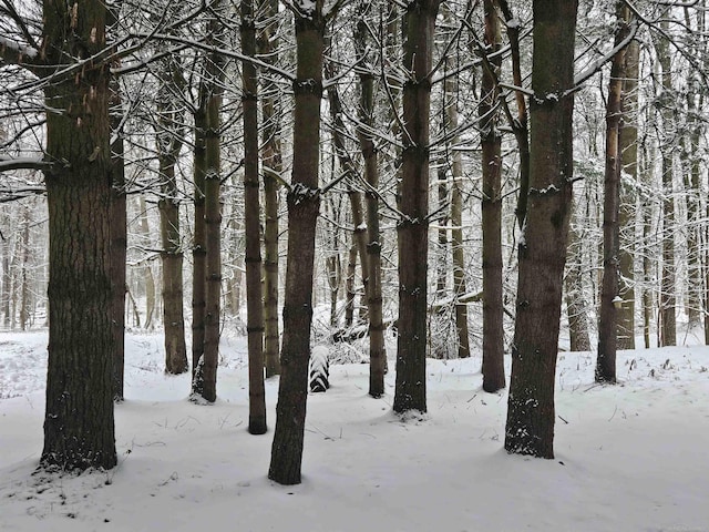 view of snow covered land