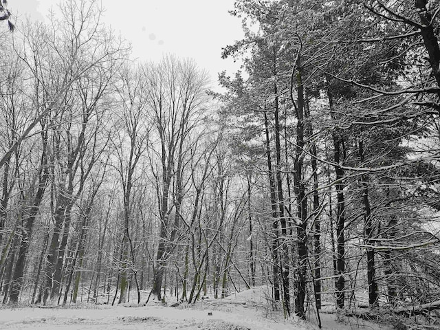 view of snow covered land