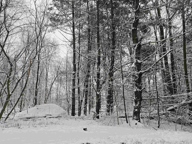 view of snow covered land