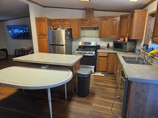 kitchen with a center island, sink, stainless steel appliances, dark hardwood / wood-style floors, and lofted ceiling