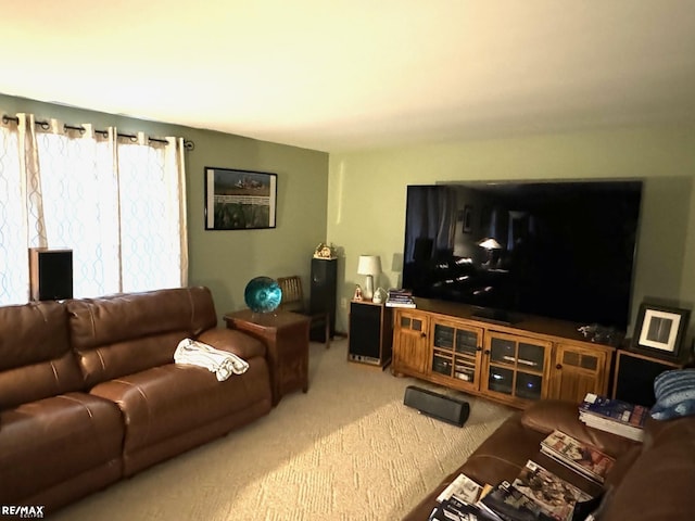 living room featuring carpet