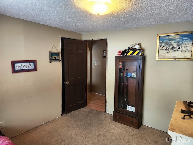 interior space featuring carpet and a textured ceiling