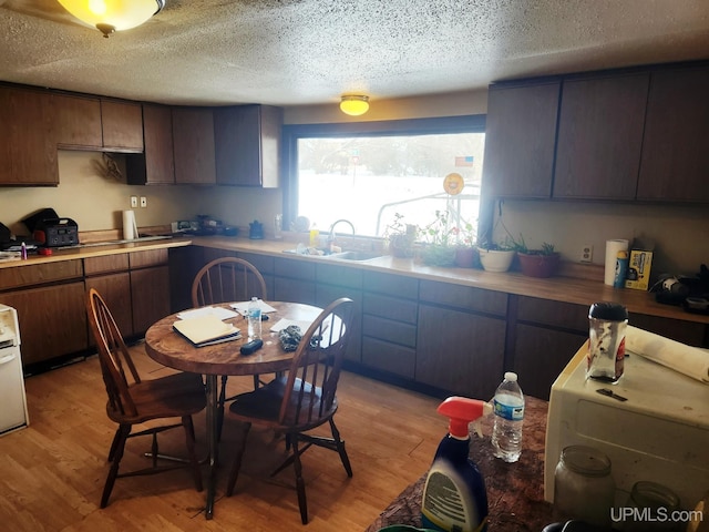 kitchen featuring a textured ceiling, light wood-type flooring, dark brown cabinetry, and sink