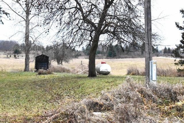 view of yard with a rural view