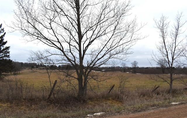 view of landscape with a rural view