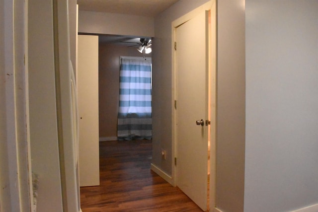 corridor with dark wood-type flooring