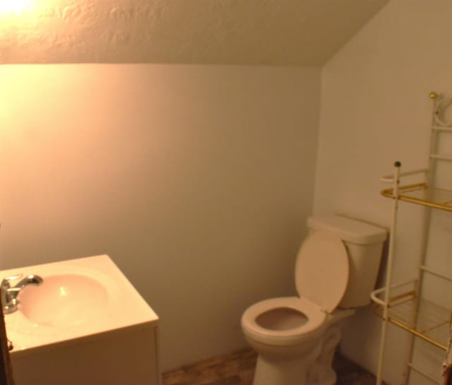 bathroom with vanity, toilet, and lofted ceiling