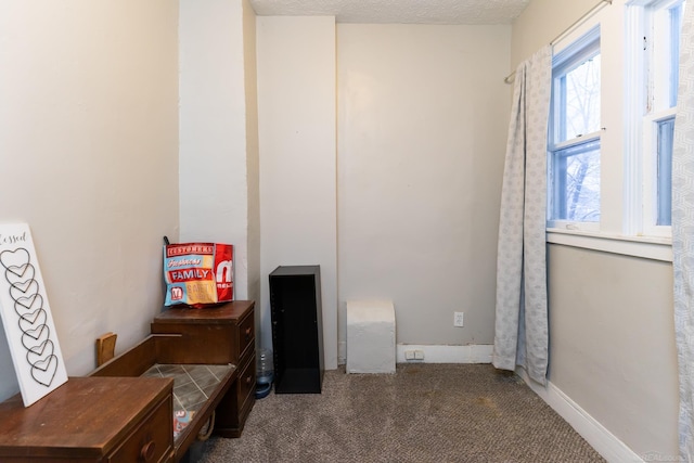 interior space featuring a textured ceiling and carpet floors