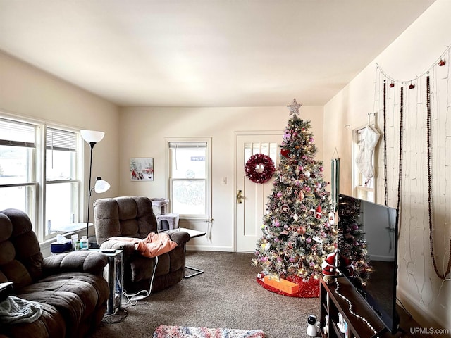 living room featuring carpet