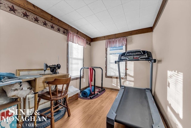 workout room featuring hardwood / wood-style flooring