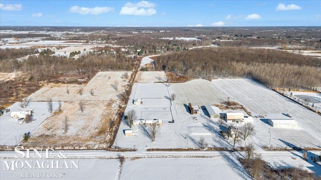 view of snowy aerial view