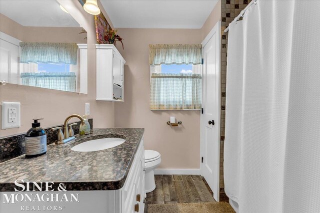 bathroom featuring vanity, toilet, and wood-type flooring