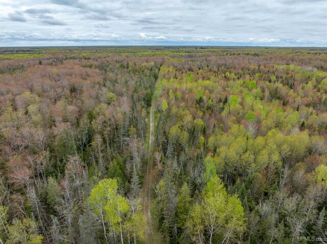 TBD M67 Hwy, Chatham, MI 49816