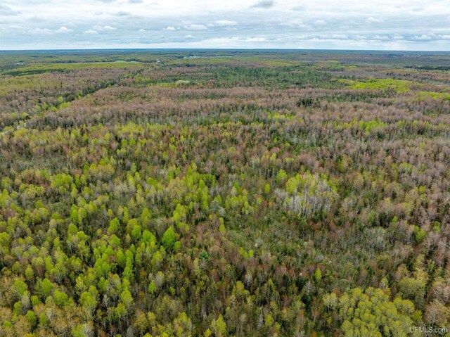 TBD M67 Hwy, Chatham, MI 49816