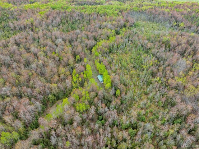 TBD M67 Hwy, Chatham, MI 49816