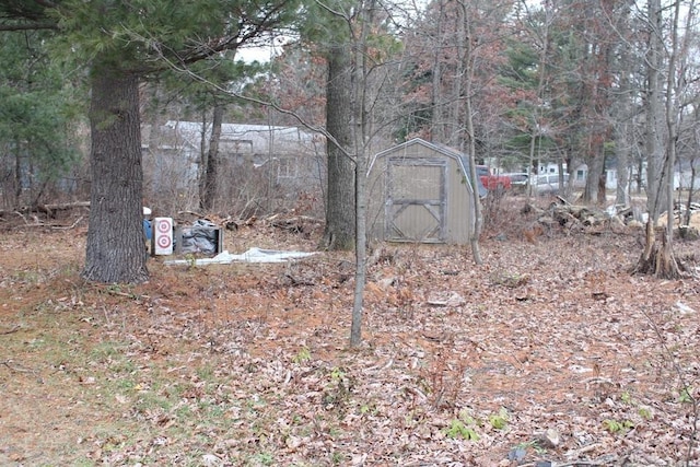 view of yard with a shed