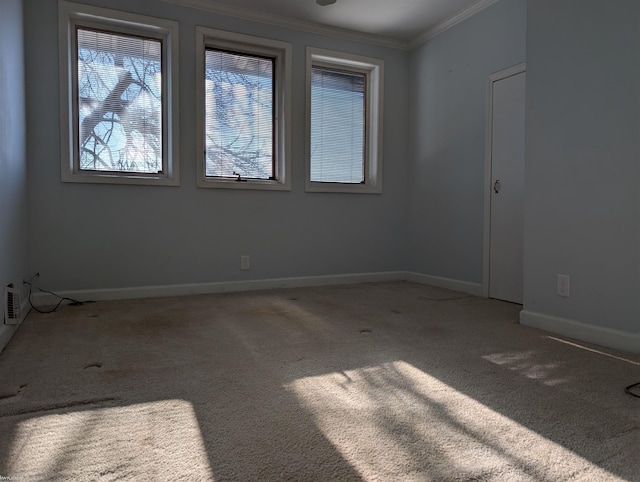 spare room featuring carpet flooring and crown molding