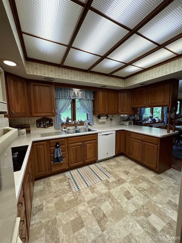 kitchen featuring dishwasher, a healthy amount of sunlight, sink, and black stovetop