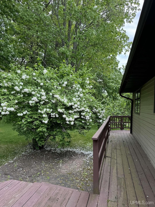 view of wooden deck