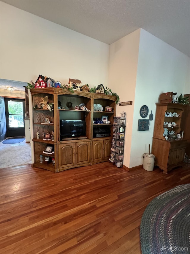 living room featuring hardwood / wood-style floors