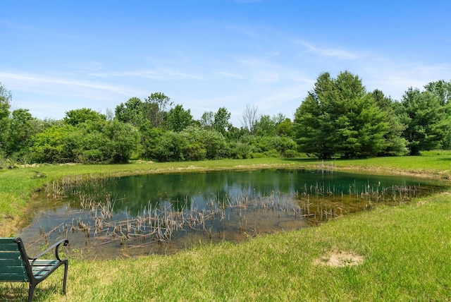 water view