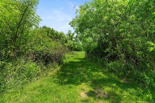 view of landscape