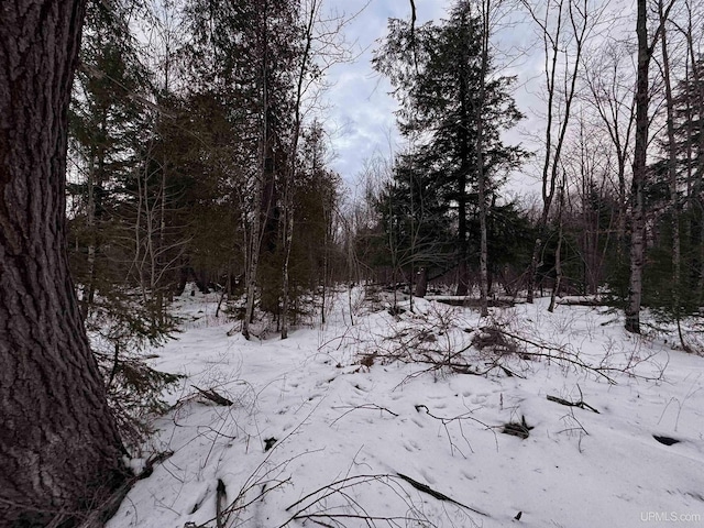 TBD40 St Cyr Rd, Skanee MI, 49962 land for sale