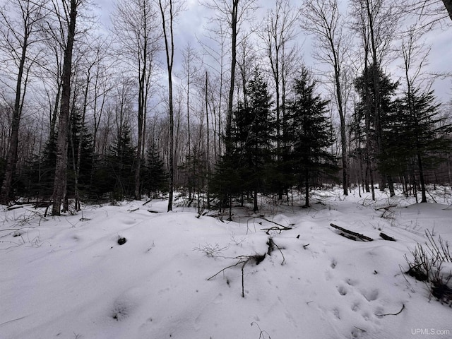 Listing photo 2 for TBD40 St Cyr Rd, Skanee MI 49962