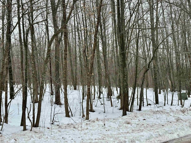 Listing photo 3 for LOT2-3 Snow Summit Dr, Bessemer MI 49911