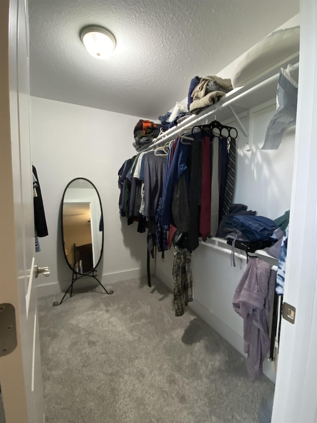 walk in closet with carpet flooring