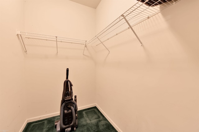 spacious closet featuring carpet flooring