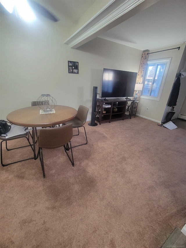 dining room featuring carpet flooring