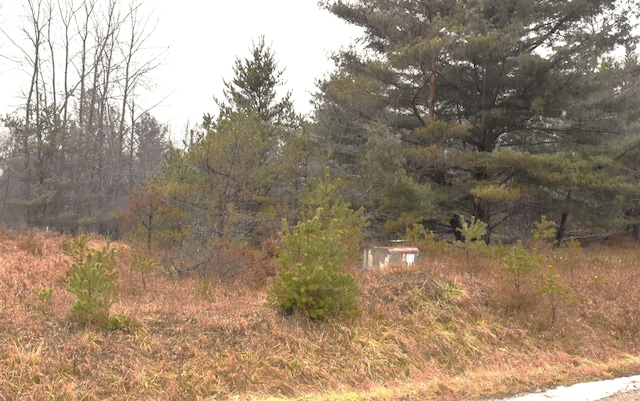 Listing photo 3 for LOT12 N Westchester Way, Gladwin MI 48624