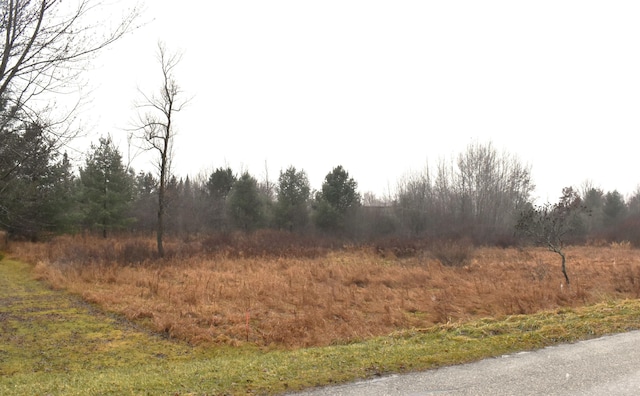 Listing photo 2 for LOT140 Winchester Way, Gladwin MI 48624