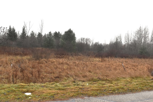 Listing photo 3 for LOT140 Winchester Way, Gladwin MI 48624