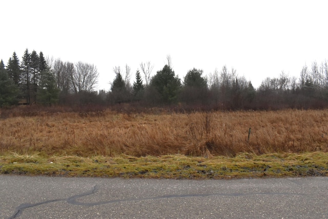 Listing photo 2 for LOT141 Winchester Way, Gladwin MI 48624