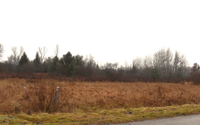 Listing photo 3 for LOT141 Winchester Way, Gladwin MI 48624