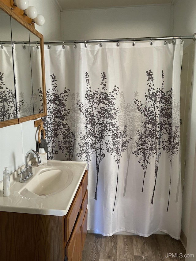 bathroom with hardwood / wood-style floors and vanity