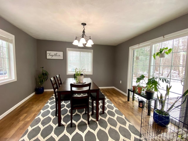 dining room with hardwood / wood-style flooring, plenty of natural light, and a chandelier