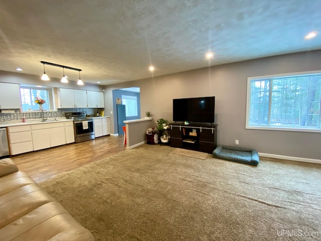 carpeted living room with rail lighting and sink