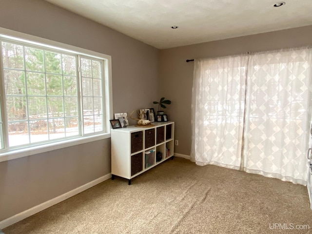 unfurnished room with carpet floors