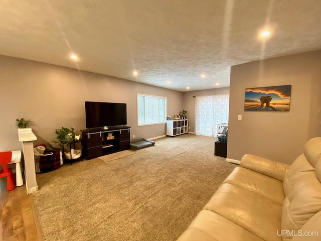 carpeted living room with a textured ceiling