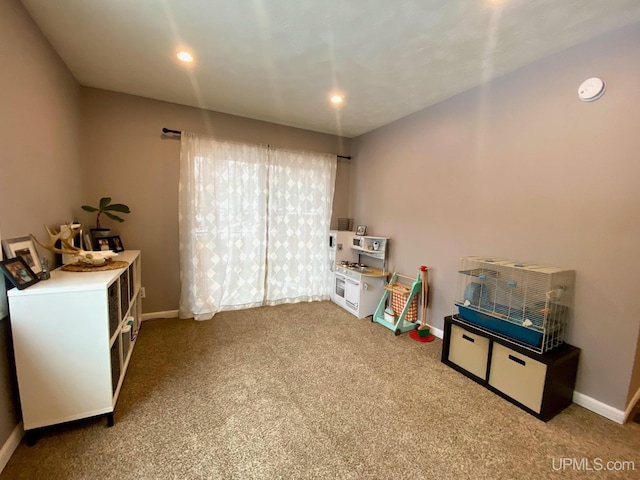 miscellaneous room featuring carpet floors