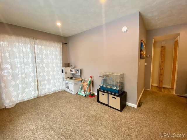 basement featuring carpet floors