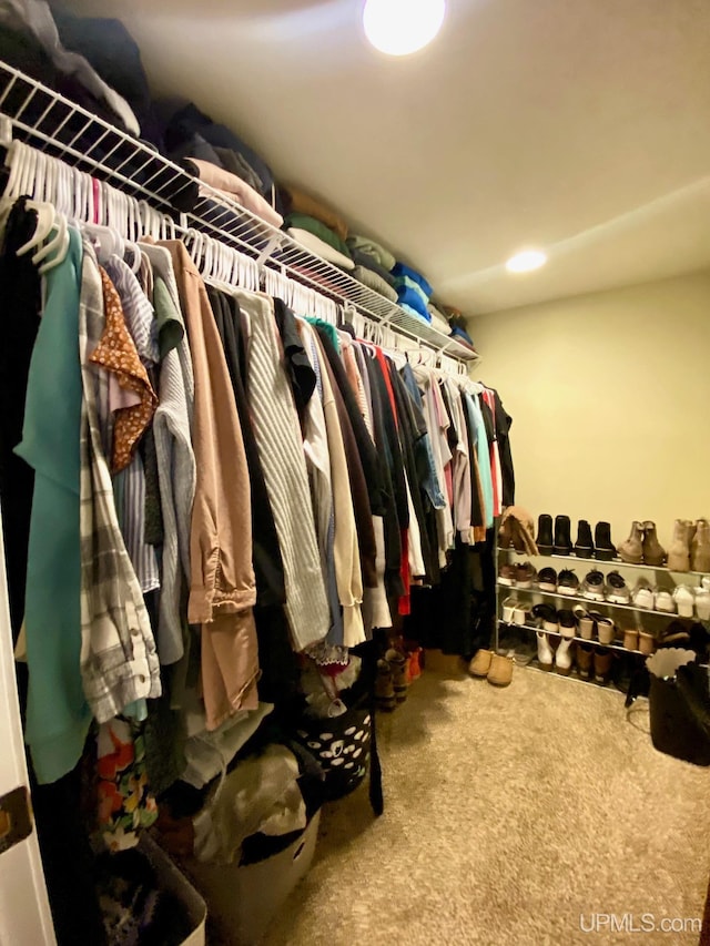 walk in closet featuring carpet