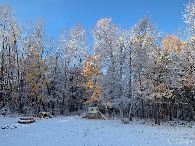 view of snow covered land