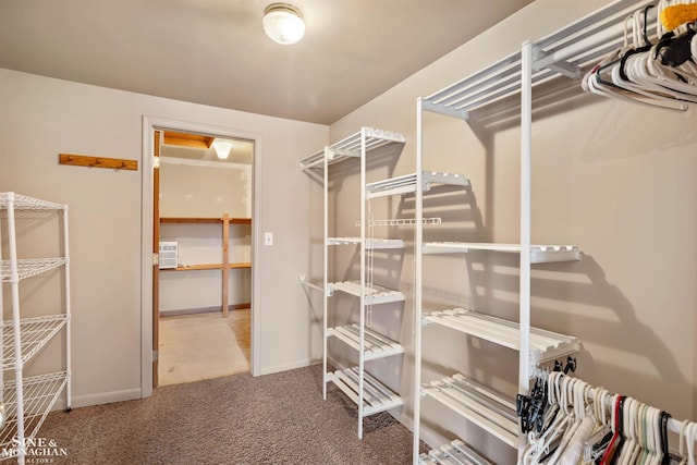 walk in closet featuring carpet