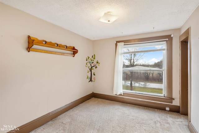 empty room featuring carpet and a textured ceiling